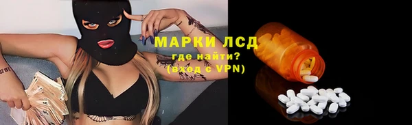 гашик Алексин