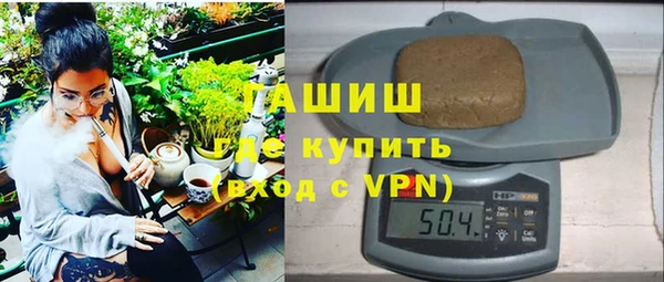 гашик Алексин