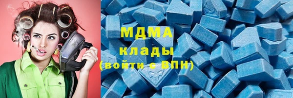 гашик Алексин