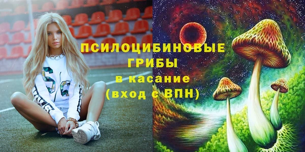 гашик Алексин