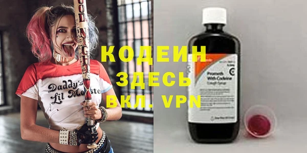 гашик Алексин