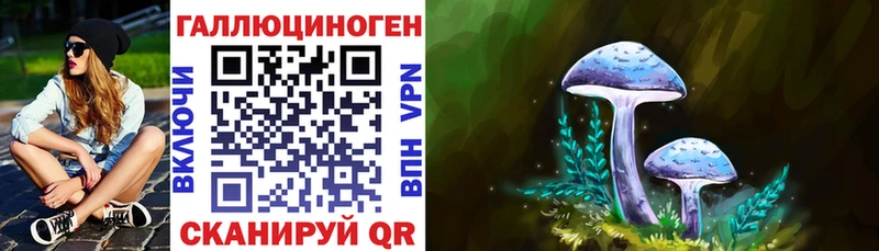 Псилоцибиновые грибы Magic Shrooms Дегтярск